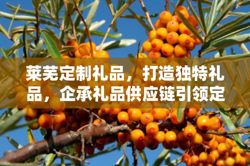 莱芜定制礼品，打造独特礼品，企承礼品供应链引领定制潮流